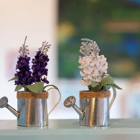 Lejlighed Casa Erica *